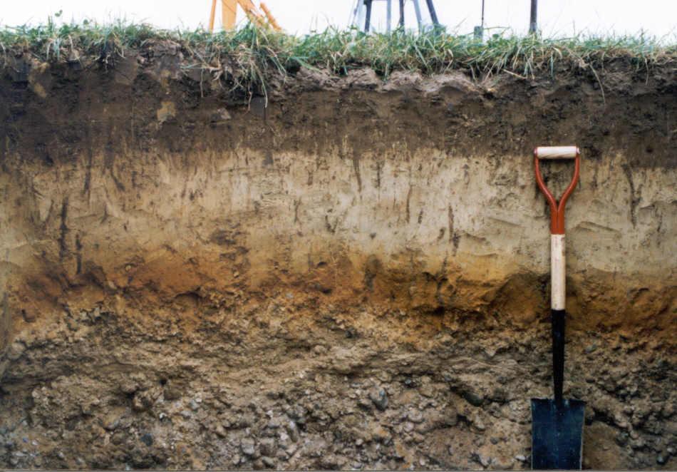 Soil horizons exposed during a perc test, with a spade for scale
